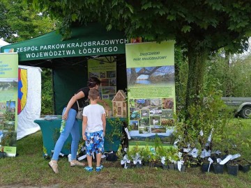 Piknik w Wieruszowie 2024, 